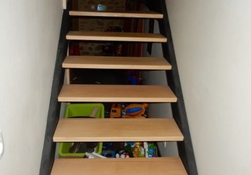 imgi_11_Escalier Acier Bois-2-